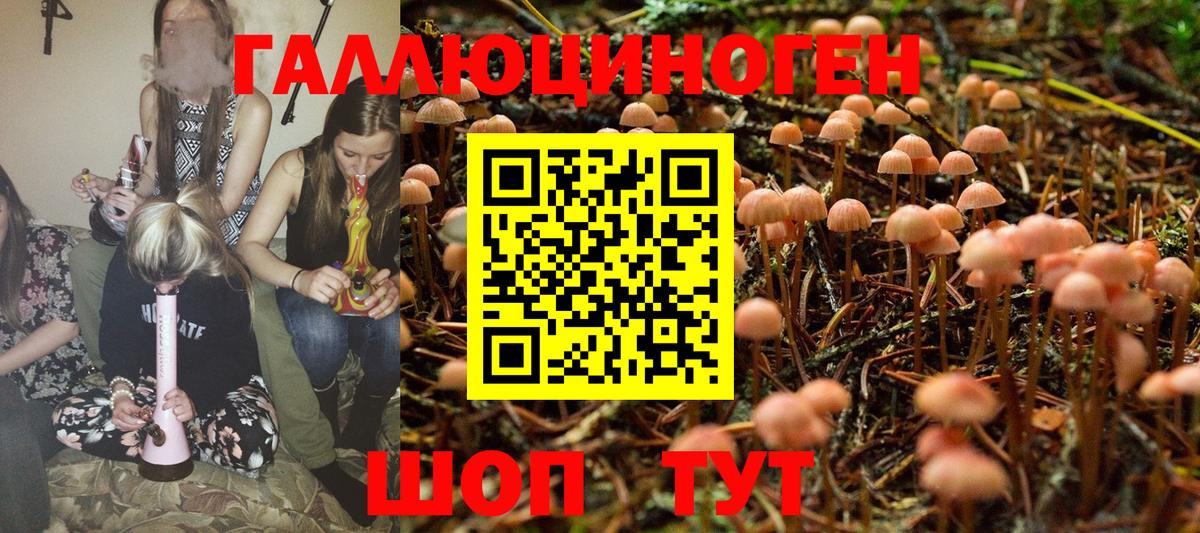 Галлюциногенные грибы MAGIC MUSHROOMS Пушкино