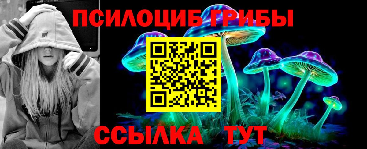 Пушкино  Псилоцибиновые грибы MAGIC MUSHROOMS  хочу наркоту  Вход с VPN  Галлюциногенные грибы GOLDEN TEACHER 
